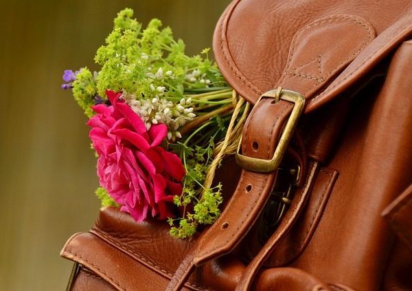 Everyday Laptop Backpack