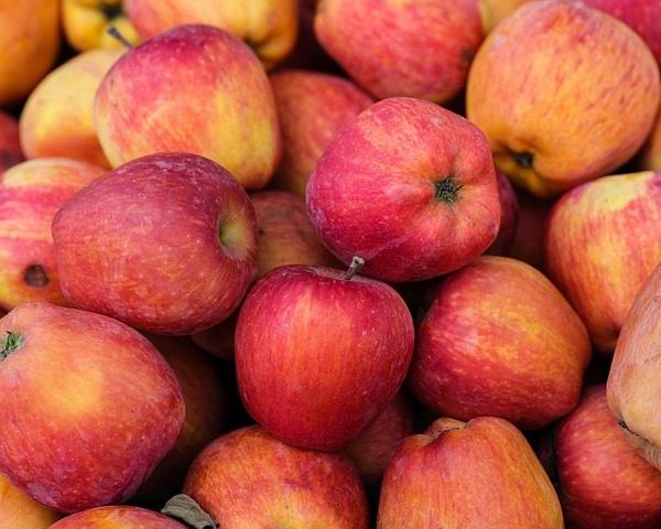Honeycrisp Apples 1kg
