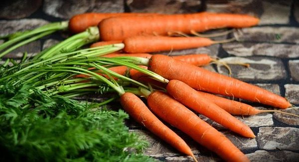 Organic Carrots 750g