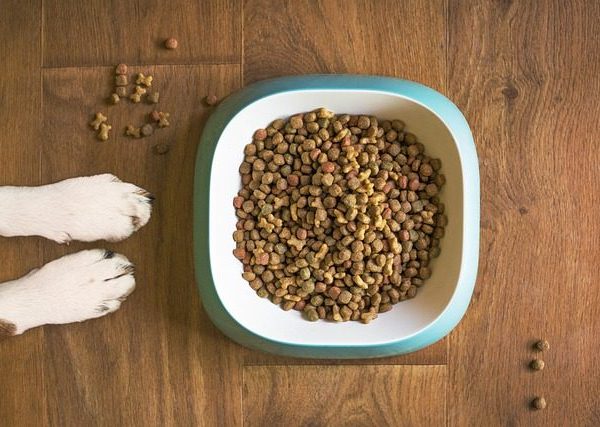 Grain-Free Dog Food 5kg