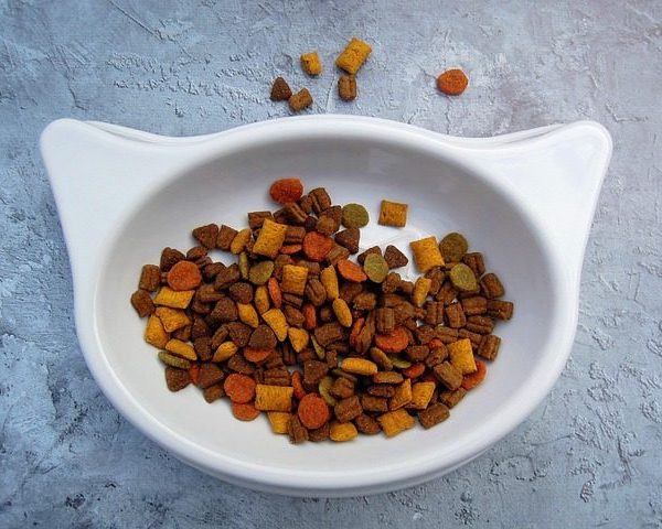 Salmon Cat Treats