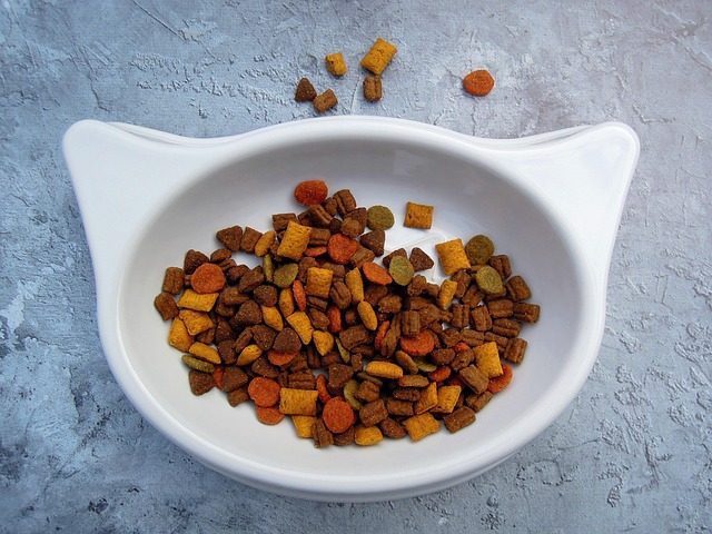 Salmon Cat Treats