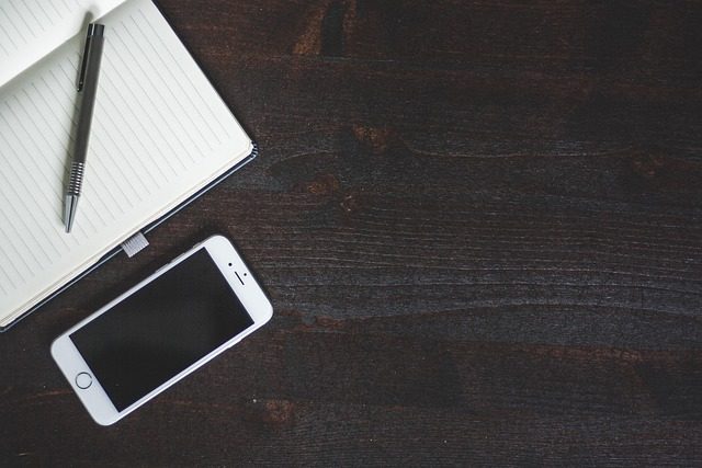Nova X Smartphone